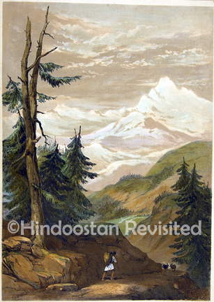 /data/Original Prints/Topography Views, City Views, Landscapes/JUMNOOTREE.jpg